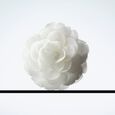 D&Eacute;MAQUILLANT LACT&Eacute; INTENSE Chanel