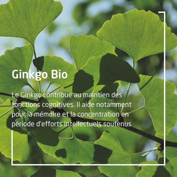 EPB® Ginkgo Bio Weleda