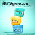Skinactive Salicylique Garnier