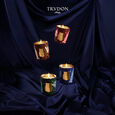 Libra Trudon