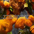 Mandarine Basilic Forte Guerlain