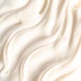 Les Essentiels V&eacute;g&eacute;talement Provence