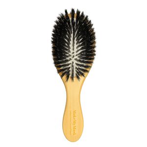 Brosse Th&eacute;rapeutique