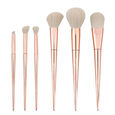 Brush Crush Profusion Cosmetics