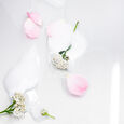 Purifying Foam Soothing Yarrow Madara