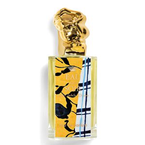 Eau du Soir Par Ymane Chabi-Gara