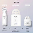 Everything Hydrogel Mask Dr. Barbara Sturm