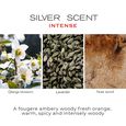 Silver Scent Intense Bogart