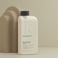 BLOW DRY WASH Kevin Murphy