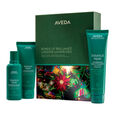 Botanical Repair™ Aveda