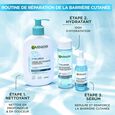 Skinactive Hyaluron Garnier