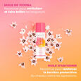 Curl Glow Les Secrets de Loly
