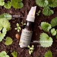 Huiles de Beaut&eacute; Melvita