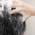 Scalp Solutions Aveda
