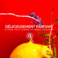 Jean-Marie Farina Roger&Gallet