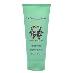 Voyage Dans Les &Icirc;les