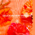 &OElig;illet Mignardise Roger&Gallet