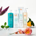 Scalp Moroccanoil