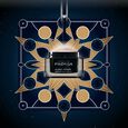 Global-Repair Filorga