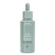 Scalp Solutions Aveda