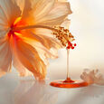 Gel &agrave; l'Hibiscus Leonor Greyl
