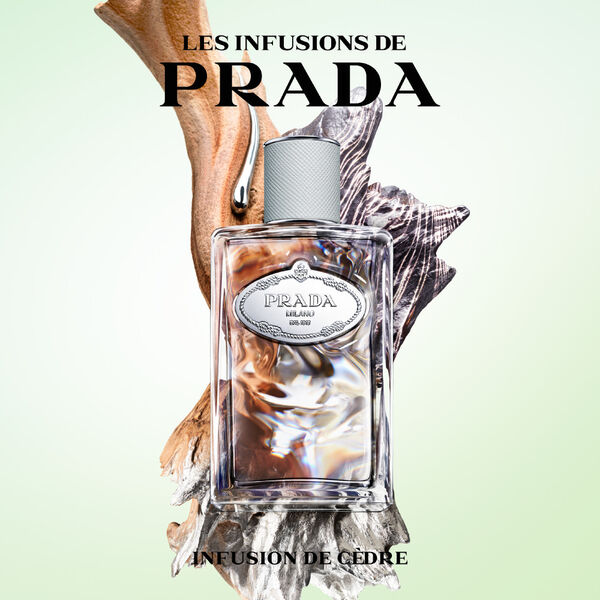 Infusion de Cèdre Prada