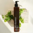 Volumiser V&eacute;g&eacute;talement Provence