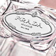 Infusion de Rose Prada