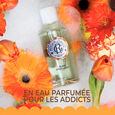 Bois d'Orange Roger&Gallet