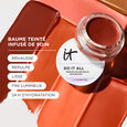 Do It All Sun Blush It Cosmetics