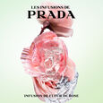 Infusion de Rose Prada