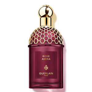 ABSOLUS ALLEGORIA