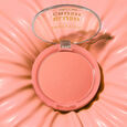 Crush Blush Profusion Cosmetics