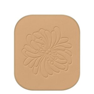 Fond de Teint Poudre