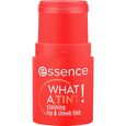 What A Tint! Essence