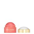 Blush Boite Ronde Bourjois