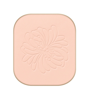 Fond de Teint Poudre