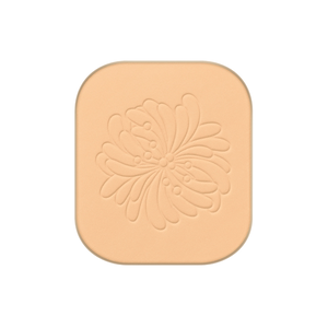 Fond de Teint Poudre