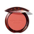 Terracotta Blush Guerlain