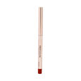Lip Envy Gloss and Lip Liner Duo Profusion Cosmetics