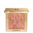 L'Orchidee Sisley