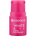 What A Tint! Essence