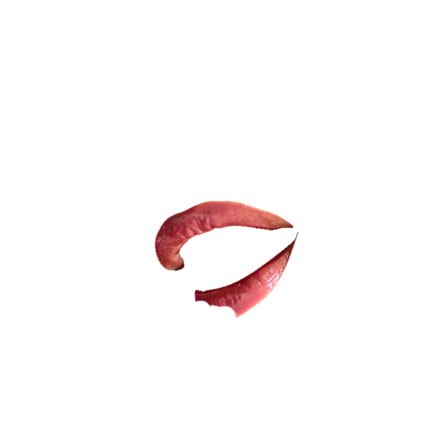 Huile lèvres Rubis  Certifiée bio Avril