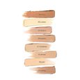 Foundation Dr.Hauschka