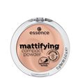 Mattifying Compact Powder Essence