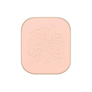 Fond de Teint Poudre