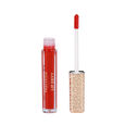 Lip Envy Gloss and Lip Liner Duo Profusion Cosmetics