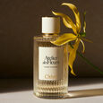 Atelier des Fleurs - Ylang Cananga
Atelier des Fleurs Ylang Cananga Eau de Parfum Chlo&eacute;