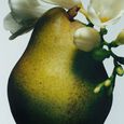 English Pear & Freesia Jo Malone London