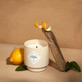Citron Bergamote My Jolie Candle